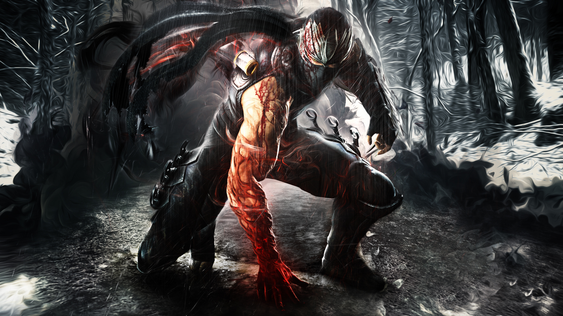 ninjagaiden3graphics