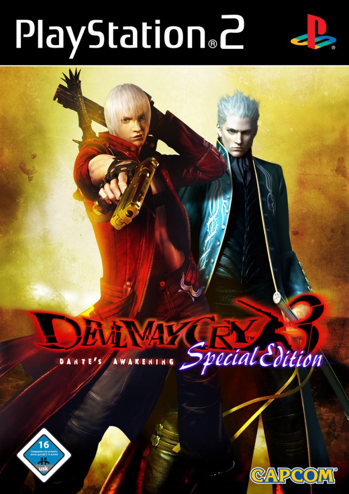 DMC3
